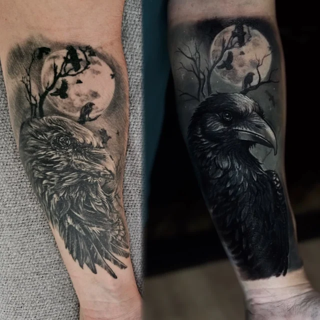 Corvo sob a lua, cobrindo corvo antigo sem contraste